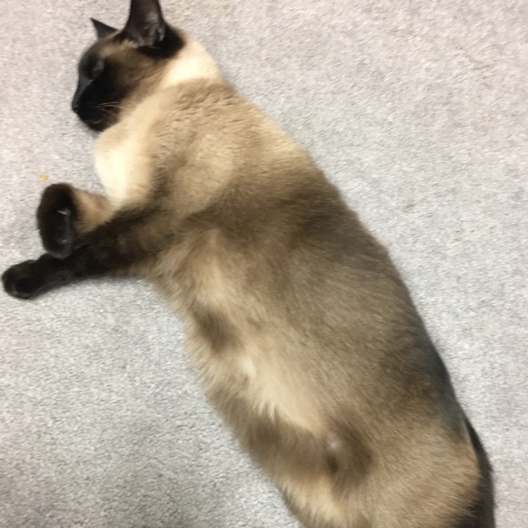 Meet your Posher, Jan - Picture 2 of 4